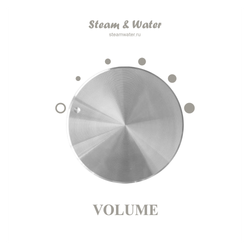 Настенный регулятор громкости звука настенный Steam&water SOUND CONTROL White 50 (Цвет черный, 5 уровней громкости, 4-8 Ом, 30W)