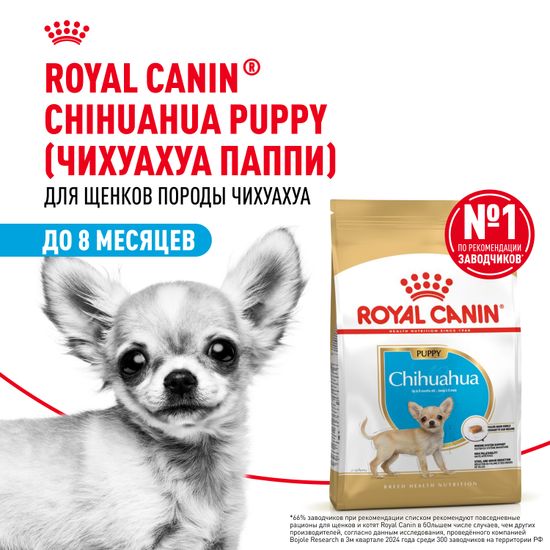 Royal Canin Chihuahua PUPPY для щенков породы чихуахуа от 2 до 8 месяцев