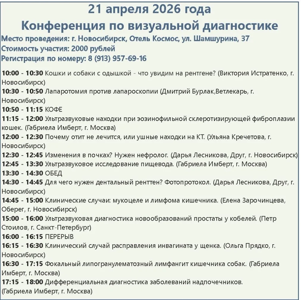 Конференция по визуальной диагностике