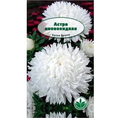Семена Астра пионовидная Башня белая 0,3гр