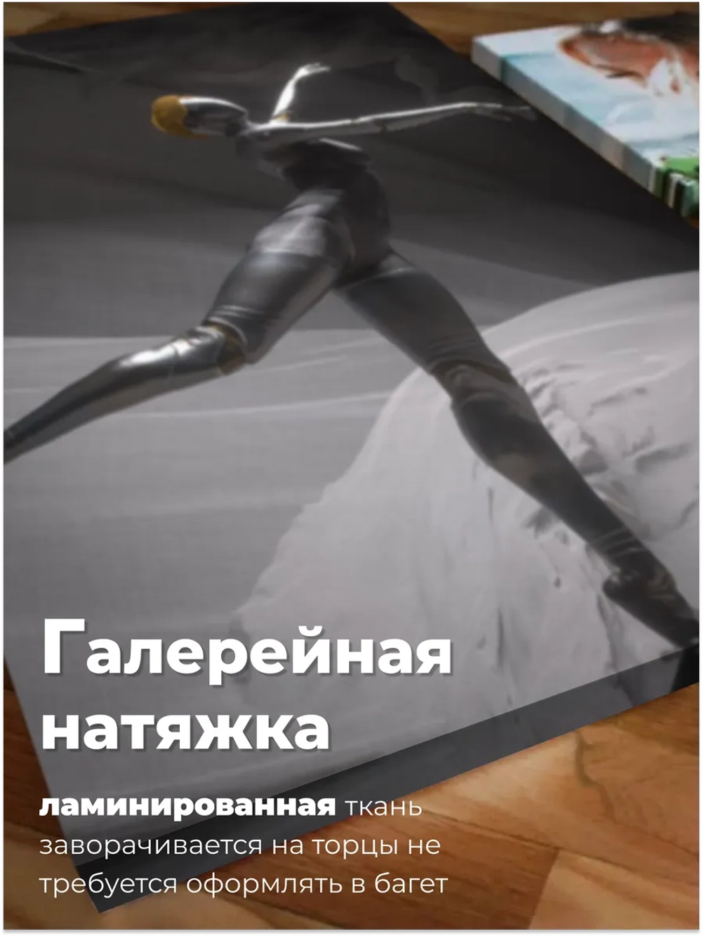 Картина Балет стального сердца модульная 50x70см 2шт.