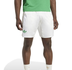 Мужские теннисные шорты Adidas Pro Climacool Ergo 9" - white