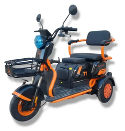 Трицикл Kugoo Kirin T1