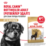 Royal Canin Rottweiller Adult Ротвейлер Эдалт Корм сухой для взрослых собак породы Ротвейлер от 18 месяцев 12кг