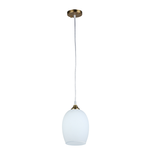 Подвесной светильник  Arte Lamp PROPUS A4344SP-1PB