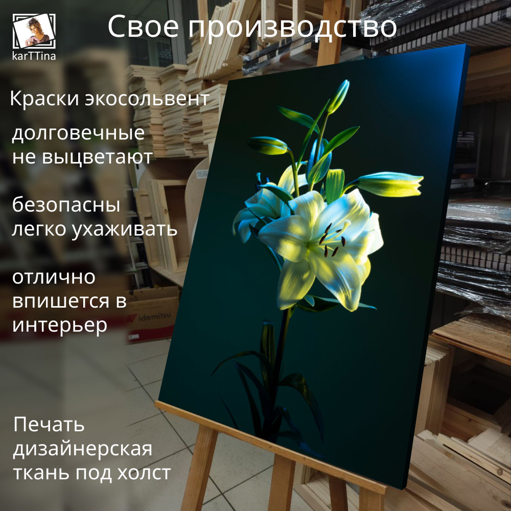 Картина на стену "Астры" 50х70см 1шт.