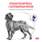 Royal Canin Neutered Adult Medium Dogs Ньютрид Эдалт Медиум Догз Корм сухой для стерилизованных кастрированных собак старше 12 месяцев 3,5кг