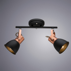 Светильник потолочный Arte Lamp Jovi A1677PL-2BK