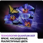 Телевизор Haier Smart TV S4 55" 4K Ultra HD QLED Smart Frameless серый