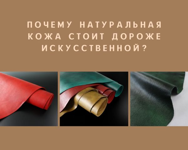 Почему натуральная кожа стоит дороже искусственной? Почему натуральная кожа стоит дороже искусственной?
