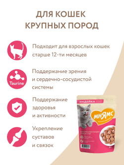 Влажный корм Мнямс На каждый день Кусочки в соусе с индейкой для кошек старше 7 лет 85 г