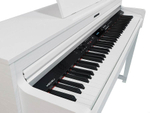 Medeli DP460K