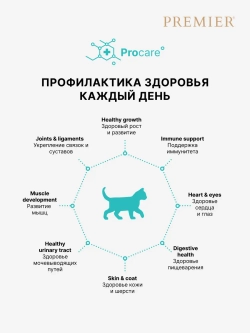 Premier Kitten для котят (Индейка)