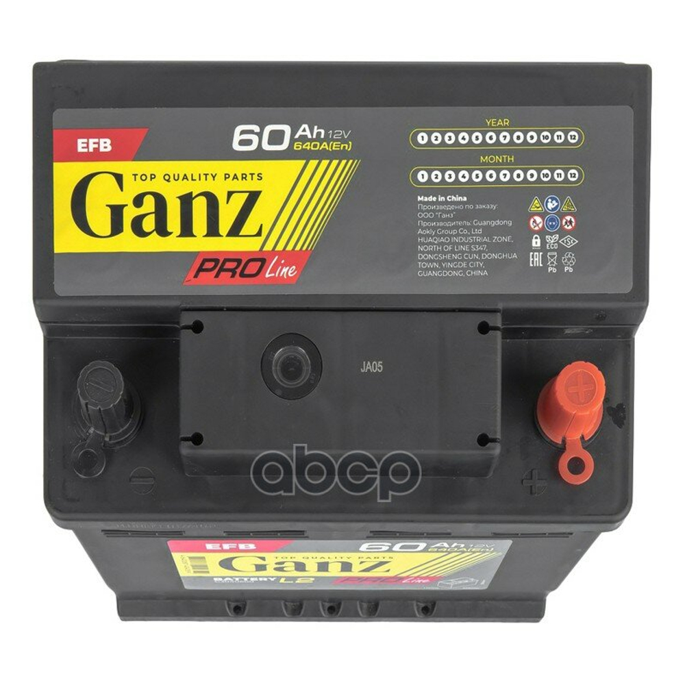 Аккумулятор GANZ PRO-Line EFB Start-stop 60 А/ч прямой L+ 242x175x190 L2 EN 610 А