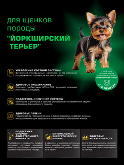 Quattro корм для щенков породы Йоркширский терьер, с ягненком, 6 кг, QUATTRO