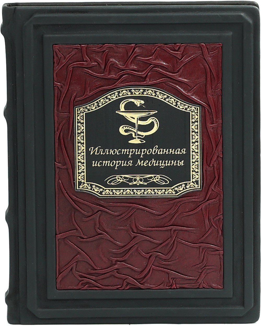 Иллюстрированная история медицины