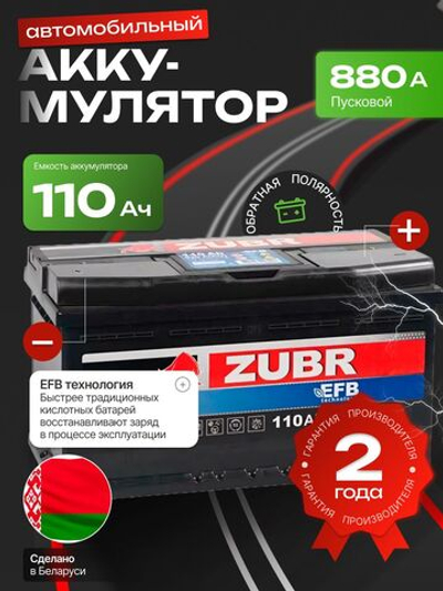 ZUBR EFB 110Ah 880A R+