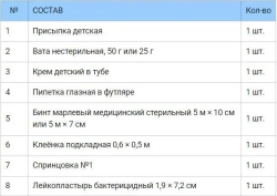 Аптечка мамы и малыша ФЭСТ футляр полистирол ЭКОНОМ м.1204
