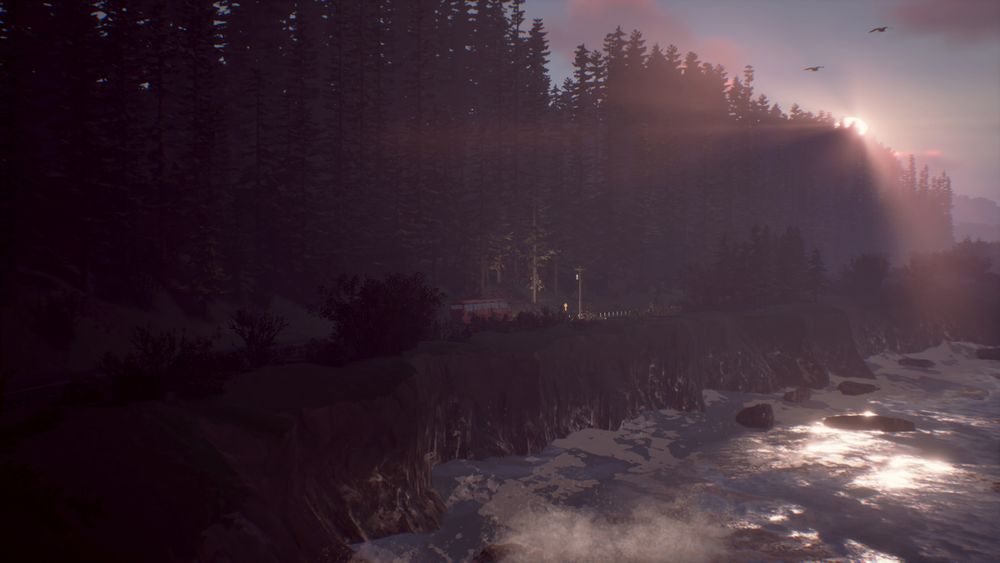 Life is Strange 2: полное издание
