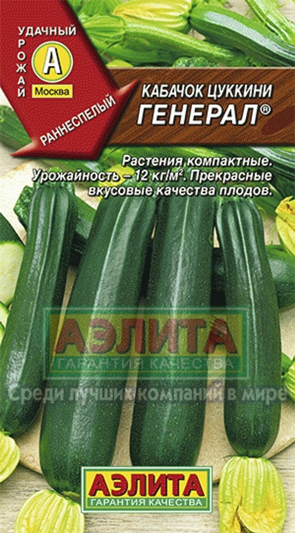 генерал