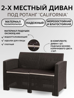 Двухместный диван под искусственный ротанг для отдыха Калифорния "California" с подушками