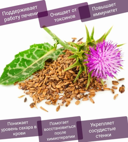 Семена расторопши