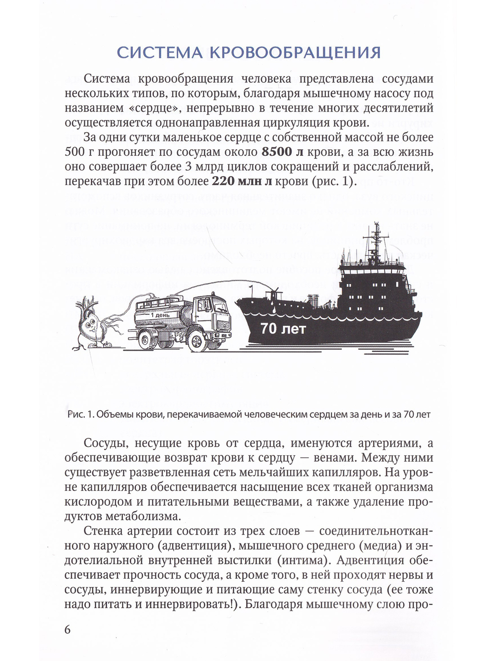 Основы кардиохирургии для менеджеров, не имеющих медицинского образования
