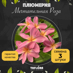Плюмерия "Мечтательная Роза" семена 3 штуки