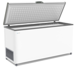 Морозильный ларь FROSTOR F 600 S