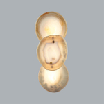 Настенный светодиодный светильник Odeon Light AGATE 7065/10WL