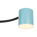 Потолочная светодиодная люстра Freya Tibo FR6048CL-L6B