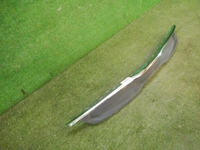 DSCN4859.jpg