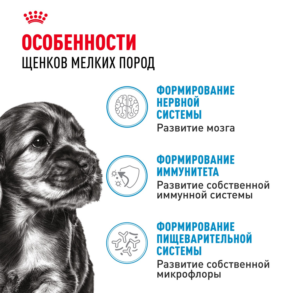 Royal Canin Mini Puppy Мини Паппи Корм сухой для щенков мелких пород в возрасте до 10 месяцев 2кг