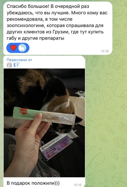 Оригинальный отзыв