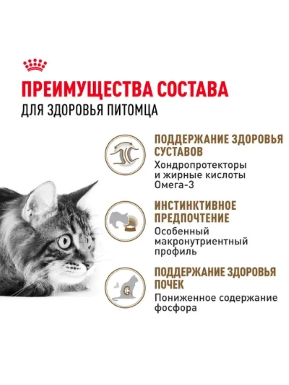 AGEING 12+ Корм для кошек в соусе 85г*28шт