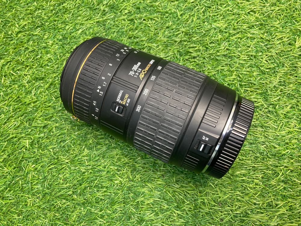 Sigma AF 70-300mm 4-5.6D APO Macro Super