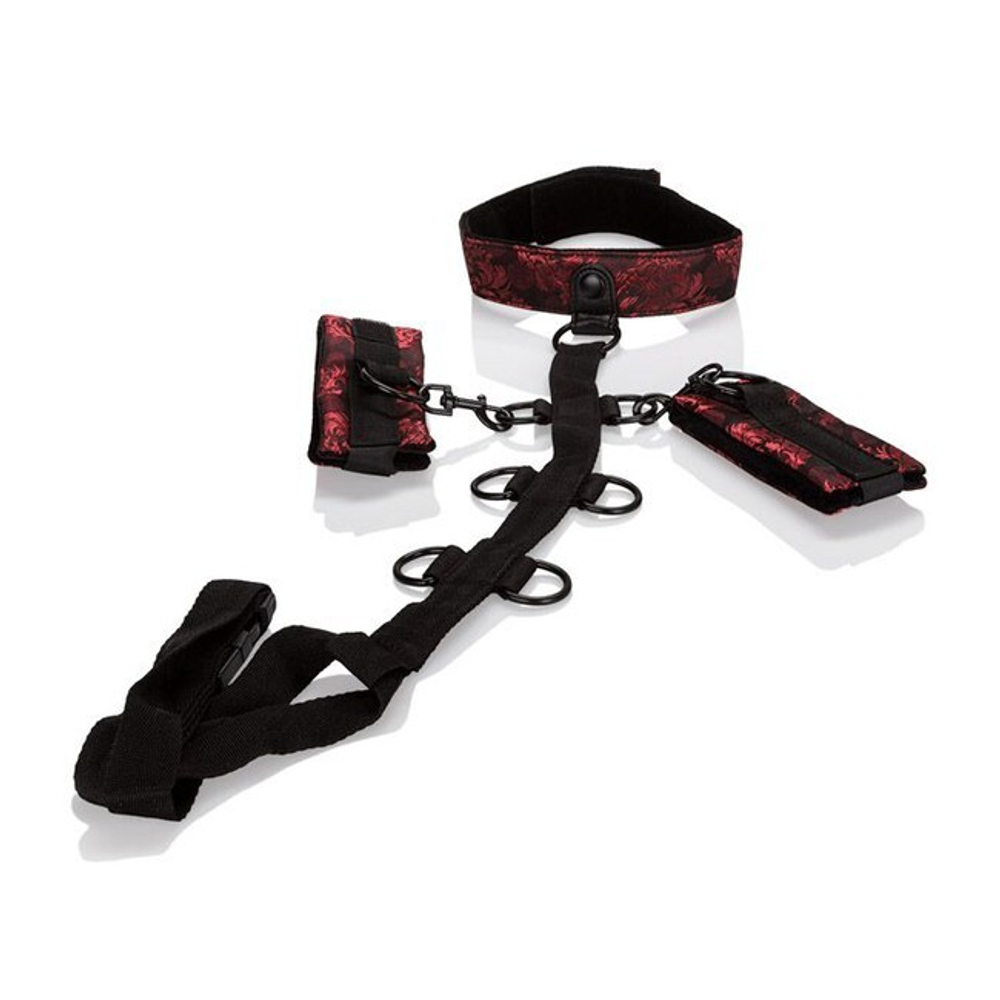 Фиксация для рук и шеи Scandal Collar Body Restraint (Цвет: черный с красным)