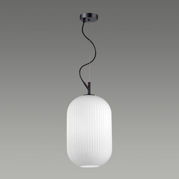Подвесной светильник 4752/1 черный Roofi Odeon Light