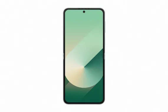 Смартфон Samsung Galaxy Z Flip6 12/256 ГБ Мятный
