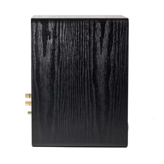 Radiotehnika S-20NA MKII Black Ash