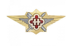 Значок классности ФСИН Наставник