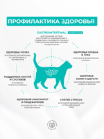 Grandorf VET Gastrointestinal Moderate Calorie при острых расстройствах ЖКТ для кошек Индейка, 2 кг.