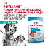Royal Canin Medium Starter Mother&Babydog Медиум Стартер энд бебидог Корм для щенков средних пород до 2 месяцев беременных и кормящих собак 4кг