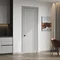 Regidoors