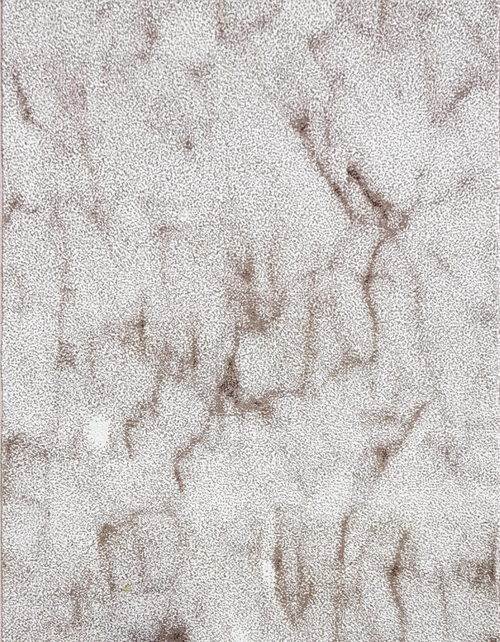 Avrora 31696A CREAM \ CREAM Рулон