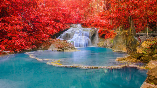 Природа 2 №26 Фотообои и Фрески ручной работы