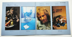 Винтажная виниловая пластинка LP Wishbone Ash Wishbone Four (Japan 1978) (No Obi)