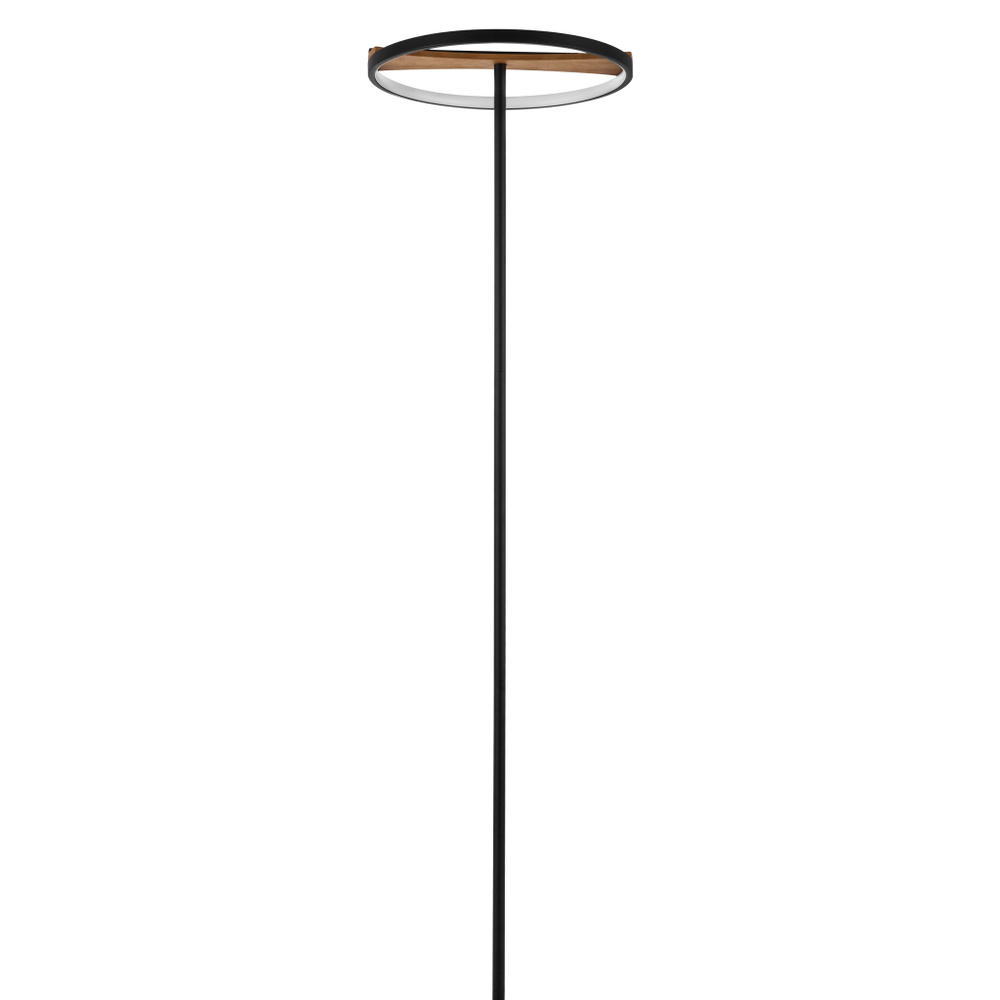 Торшер светодиодный Lightstar Lodi 723727