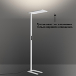 359545 LEDO NT25 330 (В 2-х КОРОБКАХ) NT25 000 белый Торшер светодиодный диммир. полного спектра IP20 LED 50W+50W 180-265V 4000K 6500Лм STUDI